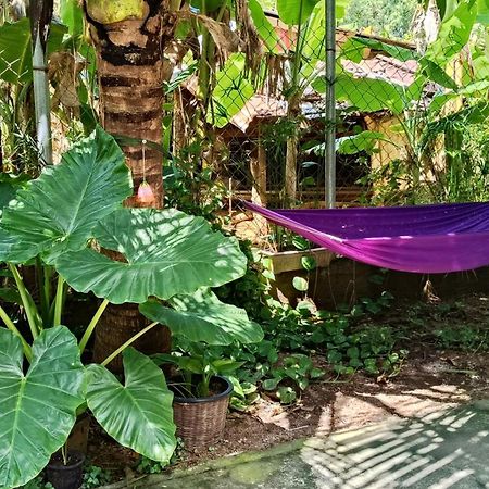 La Maison De Soriya - Work & Stay Kampot Ngoại thất bức ảnh