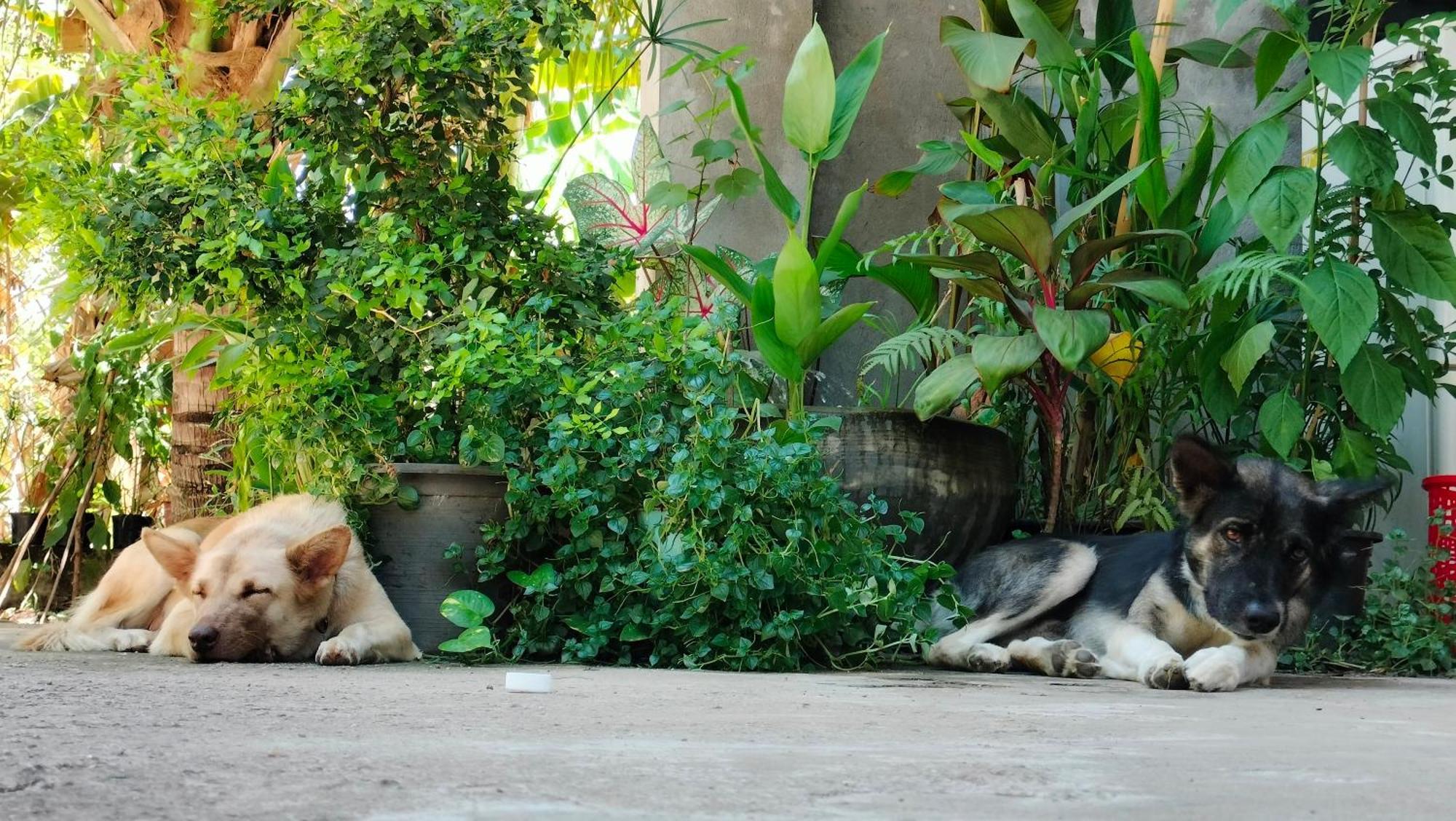 La Maison De Soriya - Work & Stay Kampot Ngoại thất bức ảnh