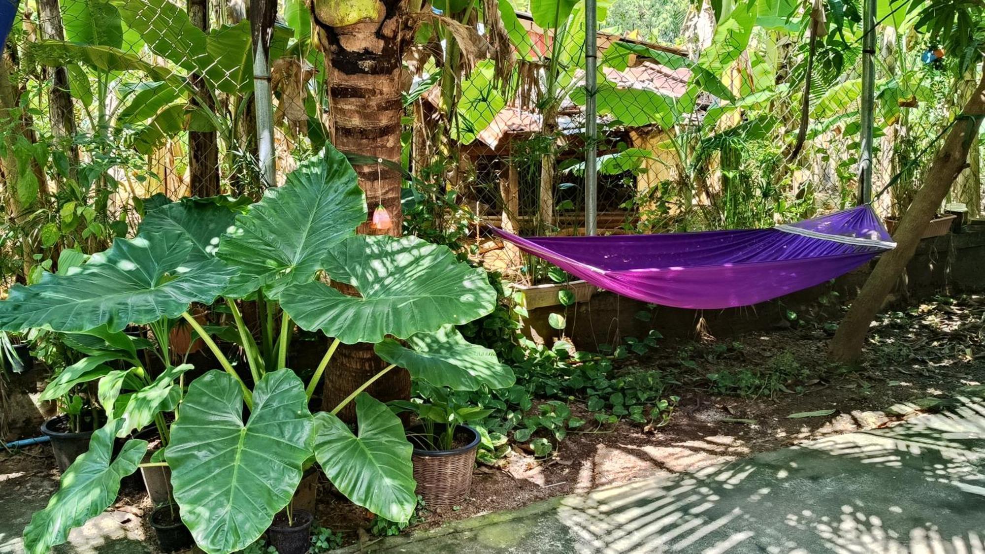 La Maison De Soriya - Work & Stay Kampot Ngoại thất bức ảnh